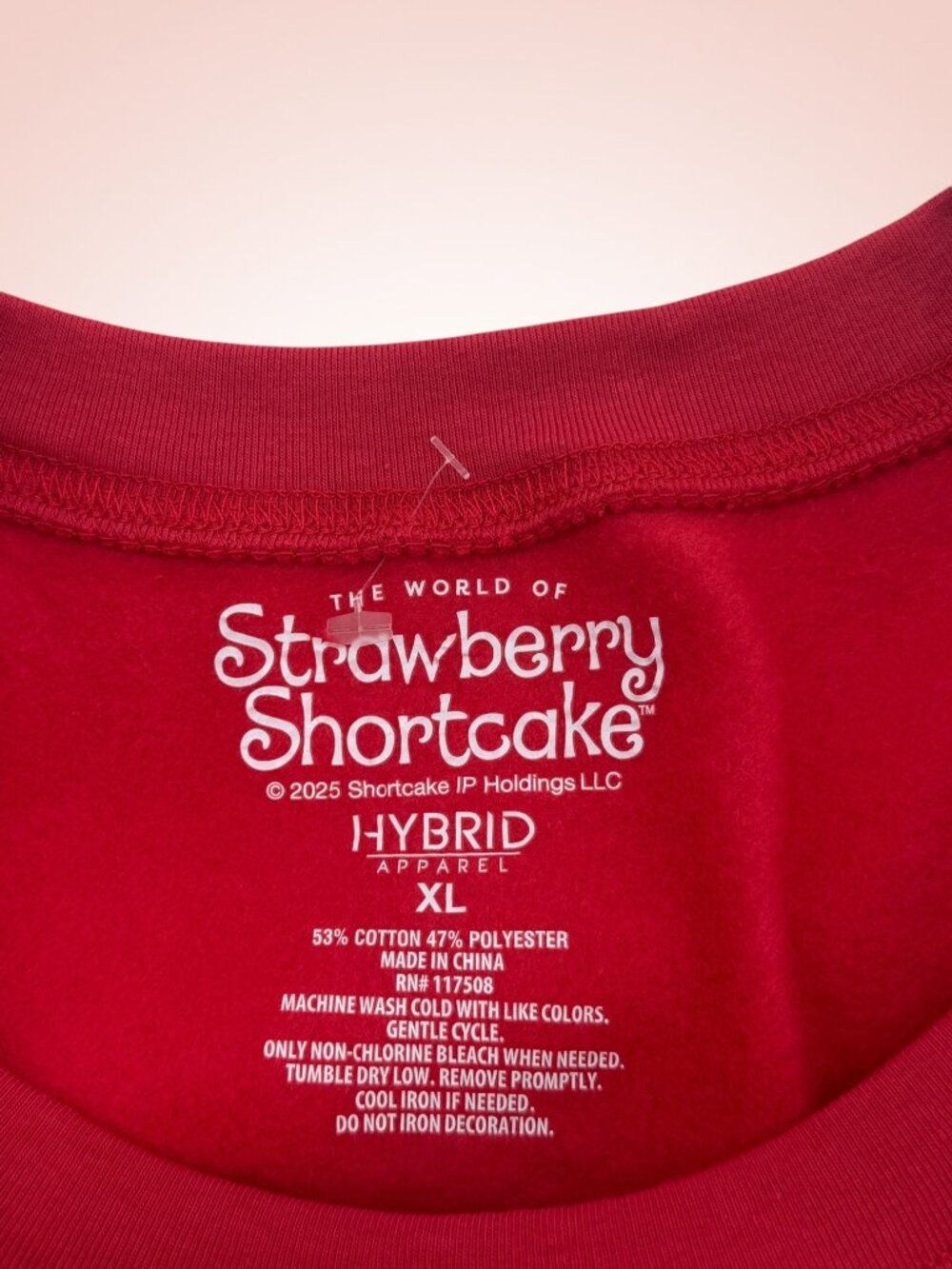 Strawberry Shortcake 2025 Graphic Fleece‎ Lined Sweatshirt XL - Picture 2 of 6